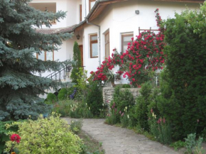 Отель Guest House Astra  Арбанаси